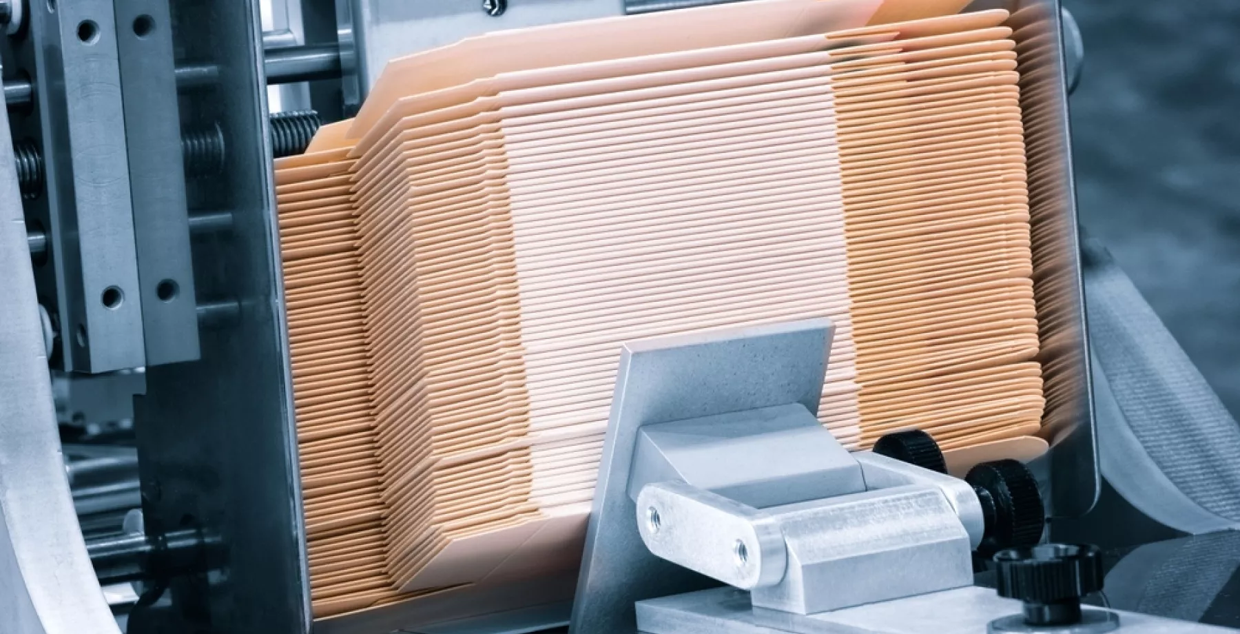 shutterstock 2195152961